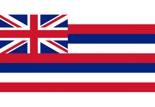 5'x8' Hawaii State Flag Nylon