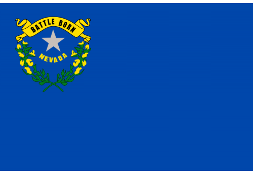 5'x8' Nevada State Flag Nylon