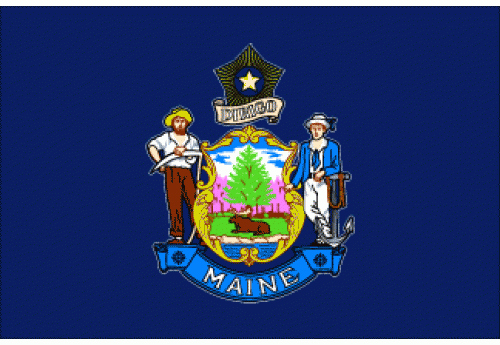 5'x8' Maine State Flag Nylon