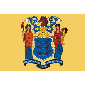 5'x8' New Jersey State Flag Nylon