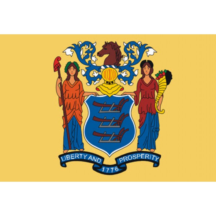 new jersey state flag