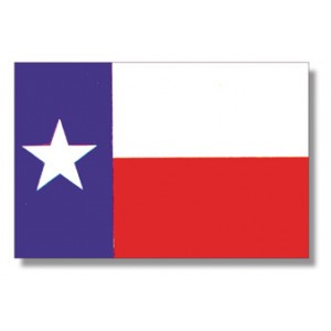 5'x8' Texas State Flag Nylon