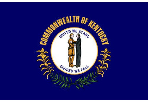 4'x6' Kentucky State Flag Nylon