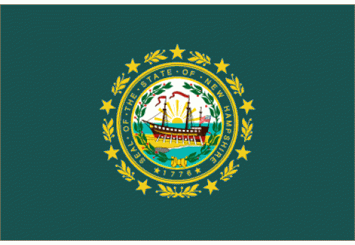 4'x6' New Hampshire State Flag Nylon